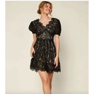 Skies Are Blue Black Lace Overlay Dress